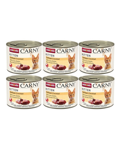 ANIMONDA Carny Kitten Poultry Cocktail mokra karma dla kociąt koktajl drobiowy 6x200 g