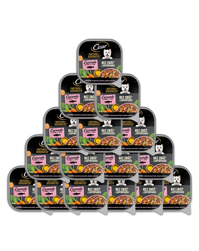 CESAR Natural Goodness tacka w sosie 16x100 g z łososiem  wzbogacony olejem rybnym, szpinakiem i marchewką
