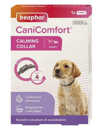 BEAPHAR CaniComfort Calming Collar Puppy obroża z feromonami dla szczeniat 45 cm