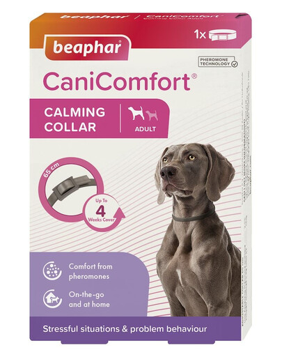 BEAPHAR CaniComfort Calming Collar Dog obroża z feromonami dla psów 65 cm