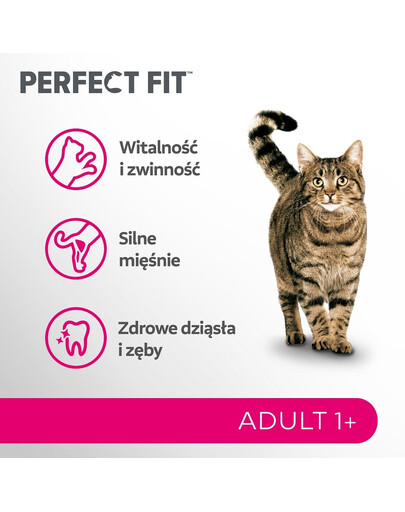 PERFECT FIT Adult 1+ 7 kg sucha karma pełnoporcjowa dla dorosłych kotów bogata w świeżego łososia