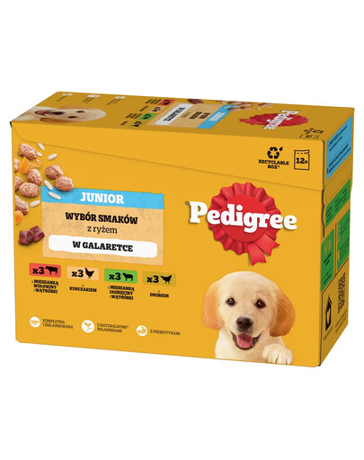 PEDIGREE Junior Wybór Smaków z ryżem saszetki 12x100 g mokra karma pełnoporcjowa dla szczeniąt, kawałki z mieszanką wołowiny i wątróbki i ryżem, z kurczakiem i ryżem, z mieszanką jagnięciny i wątróbki i ryżem, z drobiem i ryżem, w galaretce