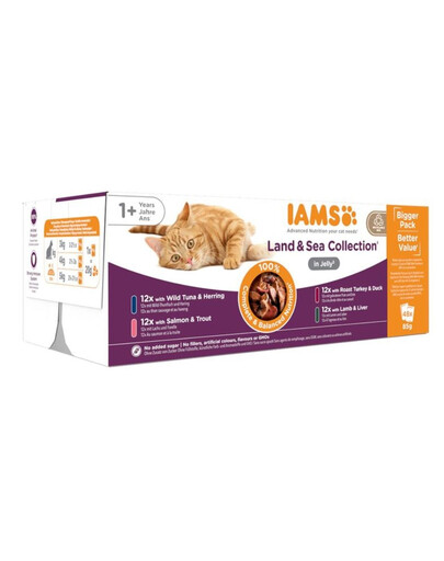 IAMS Cat Delights Adult All Breeds Land&Sea In Jelly Pouch 48 X 85 g - mokra karma dla kota