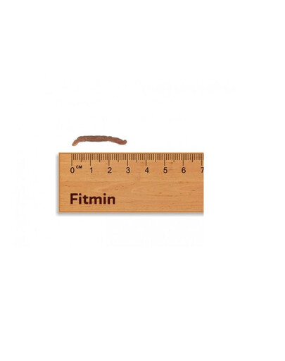 FITMIN For Life Chicken Jerky 70 g przysmak dla psów i kotów
