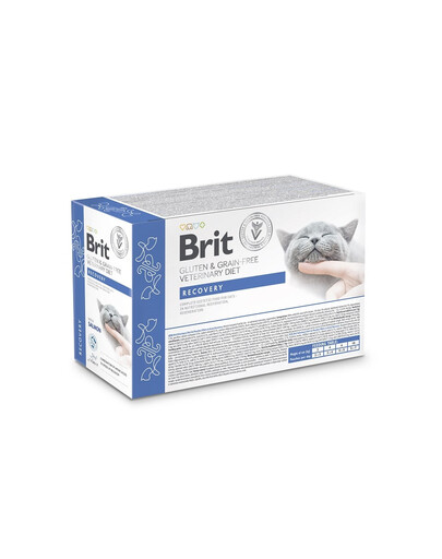 BRIT Veterinary Diet Cat Gluten and Grain Free Recovery with Salmon in Gravy 12x85g