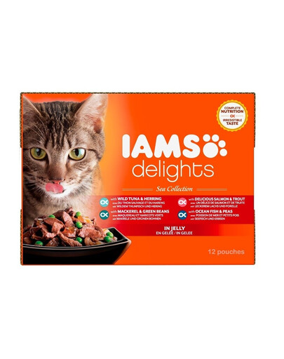 IAMS Cat Delights Adult All Breeds Ocean Fish In Jelly 12 X 85 g saszetki w galaretce dla kotów