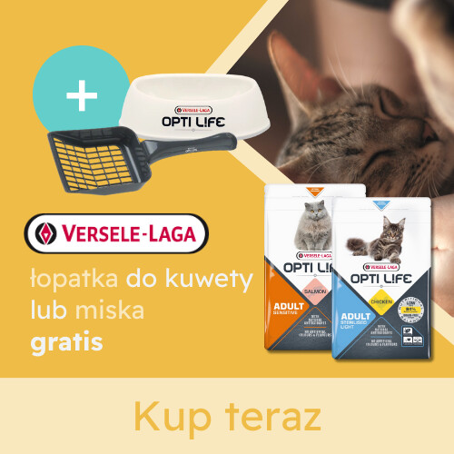 Promocja VERSELE LAGA miska dla kota GRATIS