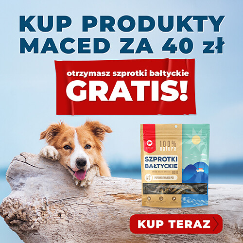 Promocja MACED szprotki bałtyckie gratis