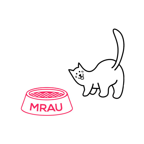 Mleko dla kociąt