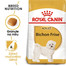 Bichon Frise Adult 1,5 kg sucha karma dla psów powyżej 10 miesiąca, rasy Bichon Frise