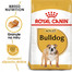 Bulldog Adult karma sucha dla psów dorosłych rasy bulldog 3 kg
