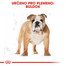 Bulldog Adult karma sucha dla psów dorosłych rasy bulldog 3 kg