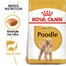 Poodle adult 0.5 kg karma sucha dla psów dorosłych rasy pudel miniaturowy