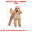 Poodle adult 0.5 kg karma sucha dla psów dorosłych rasy pudel miniaturowy