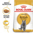 Royal Canin British Shorthair Adult 20 kg - sucha karma dla dorosłych kotów rasy brytyjski krótkowłosy 20 kg (2 x 10 kg)