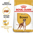 Royal Canin Adult Boxer 24kg - karma dla psów rasy bokser powyżej 15-tego miesiąca życia 24 kg (2 x 12 kg)