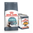 ROYAL CANIN Hairball Care 10 kg + mokra karma Intense BEAUTY w sosie 85 g x 12