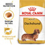 ROYAL CANIN Dachshund Adult 7.5 kg granule pro dospělého jezevčíka