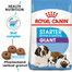ROYAL CANIN Giant Starter Mother&Babydog 15 kg granule pro březí nebo kojící feny a štěňata