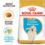 ROYAL CANIN Golden Retriever Puppy 12 kg granule pro štěně zlatého retrívra