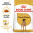 ROYAL CANIN Great Dane Adult 12 kg granule pro německou dogu
