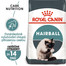 Royal Canin Hairball Care 20 kg (2x 10kg)- sucha karma dla kotów z tendencją do powstawania kul włosowych