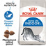 ROYAL CANIN Indoor 10 kg granule pro kočky žijící uvnitř