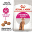 ROYAL CANIN Protein Exigent 10kg granule pro mlsné kočky