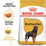 ROYAL CANIN Rottweiler 12 kg granule pro dospělé Rottweilery 12 kg