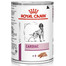 ROYAL CANIN Cardiac Canine 12x410 g karma mokra dla dorosłych psów z niewydolnością serca