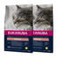 Eukanuba Cat Top Condition 7+ Rich in Chicken 2x10 kg - sucha karma dla kota