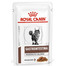 ROYAL CANIN Cat Gastro Intestinal Moderate Calorie 48 x 85 g mokra karma dla kotów z zaburzeniami żołądkowo-jelitowymi, z tendencją do nadwagi