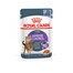 ROYAL CANIN Appetite Control Jelly 48x85 g mokra karma dla dorosłych kotów z nadmiernym apetytem