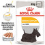 ROYAL CANIN Dermacomfort karma mokra - pasztet dla psów dorosłych o wrażliwej skórze, skłonnej do podrażnień 48 x 85 g