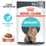 ROYAL CANIN Urinary Care 48x85 g w sosie karma mokra w sosie dla kotów dorosłych, ochrona dolnych dróg moczowych