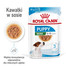 ROYAL CANIN Mini puppy 24x85 g mokra karma dla szczeniąt małych ras