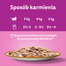 WHISKAS Adult saszetka 85g mokra karma dla dorosłych kotów w sosie z jagnięciną i indykiem