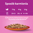 WHISKAS Adult saszetka 28x85 g mokra karma dla dorosłych kotów w galaretce z wołowiną i drobiem