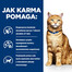 HILL'S Prescription Diet c/d Multicare z kurczakiem 3kg