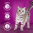 WHISKAS Adult saszetka 85 g Drobiowa Uczta mokra karma dla dorosłych kotów w sosie z: kurczakiem, indykiem