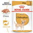 ROYAL CANIN Chihuahua Adult karma mokra - pasztet, dla psów dorosłych rasy chihuahua 48x85g