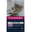 EUKANUBA Grain Free Kitten Łosoś 2 kg sucha karma dla kociąt 2 kg