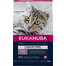 EUKANUBA Grain Free Kitten Łosoś - sucha karma dla kociąt 10 kg