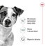 ROYAL CANIN Mini Adult 4kg karma sucha dla psów dorosłych, ras małych