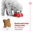 ROYAL CANIN Mini Adult 8kg karma sucha dla psów dorosłych, ras małych