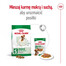 ROYAL CANIN Mini Adult 8kg karma sucha dla psów dorosłych, ras małych
