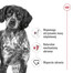 ROYAL CANIN Medium Adult 4kg karma sucha dla psów dorosłych, ras średnich