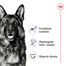 ROYAL CANIN Maxi Adult 4kg karma sucha dla psów dorosłych, do 5 roku życia, ras dużych