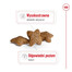 ROYAL CANIN Mini Adult 800g karma sucha dla psów dorosłych, ras małych