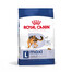 ROYAL CANIN Maxi Adult karma sucha dla psów dorosłych, do 5 roku życia, ras dużych 15 kg